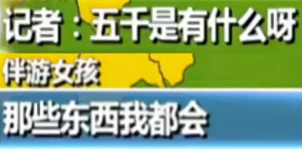 那些陪玩陪睡的伴游女