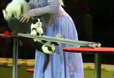 搞笑gif趣图:逗比青年的日常,药不能停下啊