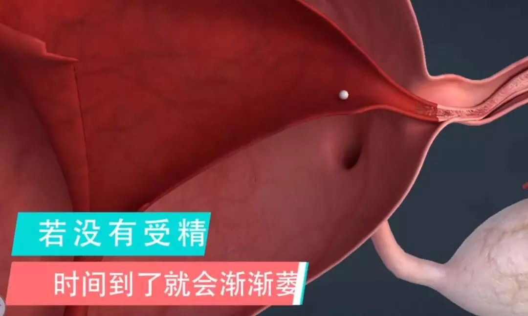 傅园慧和林允常年泡在水里，来大姨妈了怎么办？