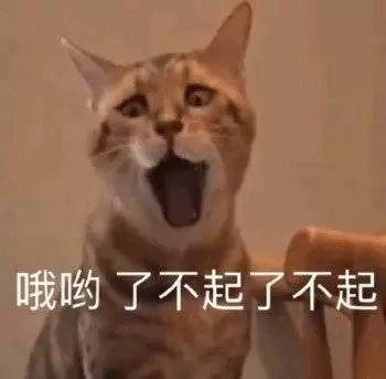 小S公开承认这些地方是整的！她是又喝多了吗？