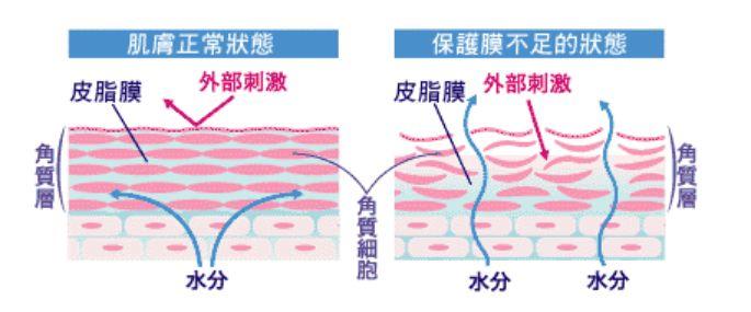小S公开承认这些地方是整的！她是又喝多了吗？