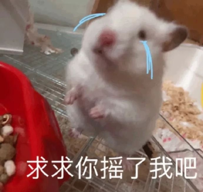 辛辛学子大幂幂,徐徐生辉李易峰