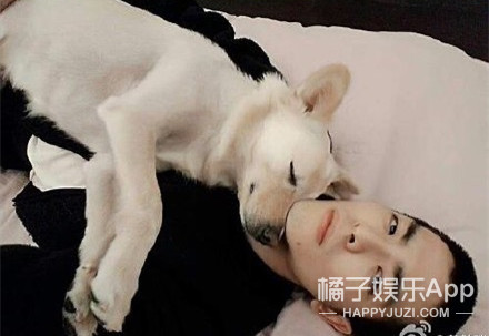 被他和流浪猫狗的故事感动了...