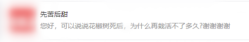 提问_副本.png