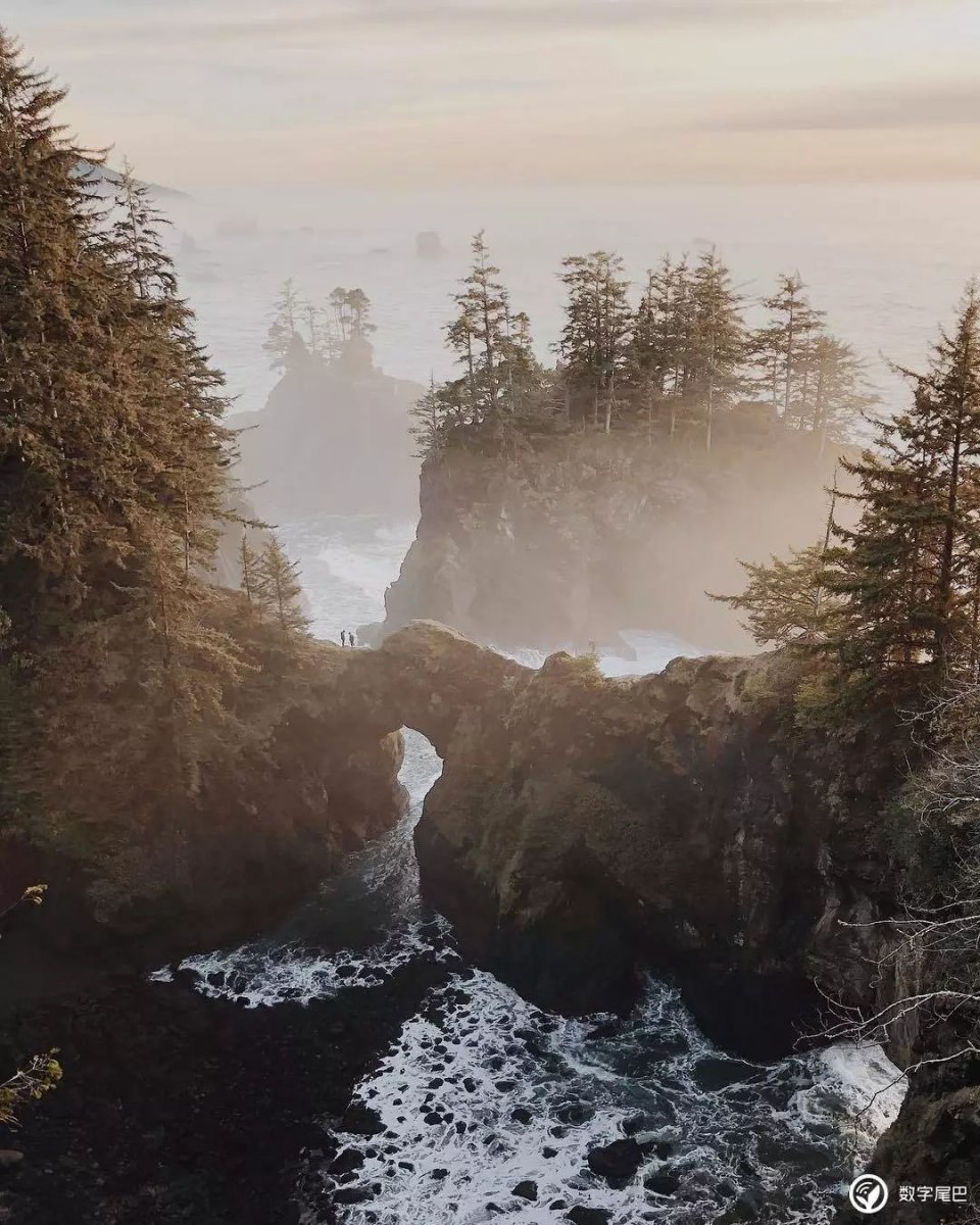 苹果在 Instagram 上选出了这九张年度照片