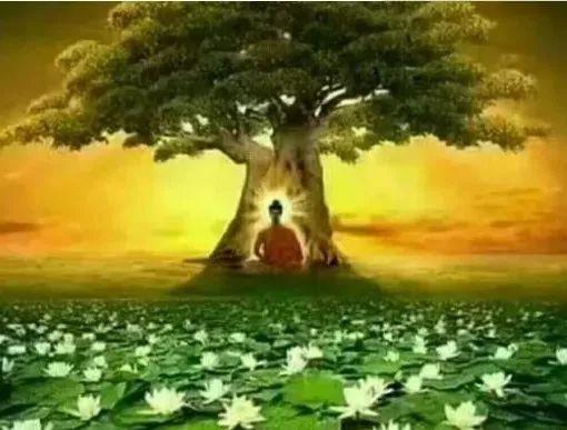 菩提树下千年守候