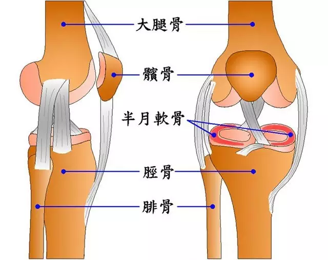 膝关节疼痛一般是什么病