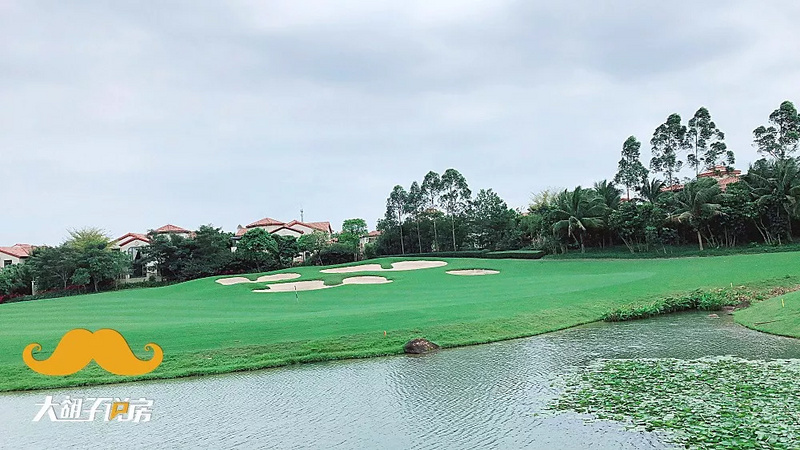 逆势限购加码!海南到底怎么了?