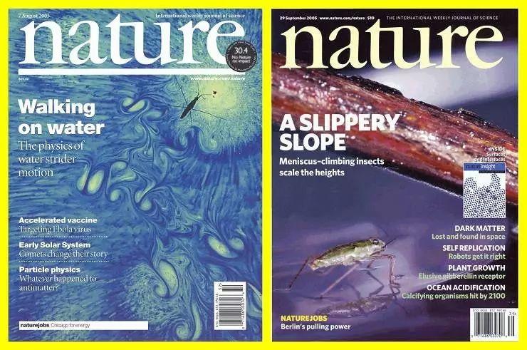 靠搞笑登上《nature》封面，他戴着马桶圈领“诺奖”