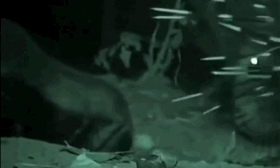 马云这个平头哥太狠了