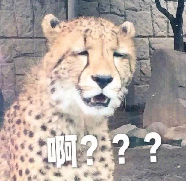 明星为什么蜂拥代言辣鸡游戏？