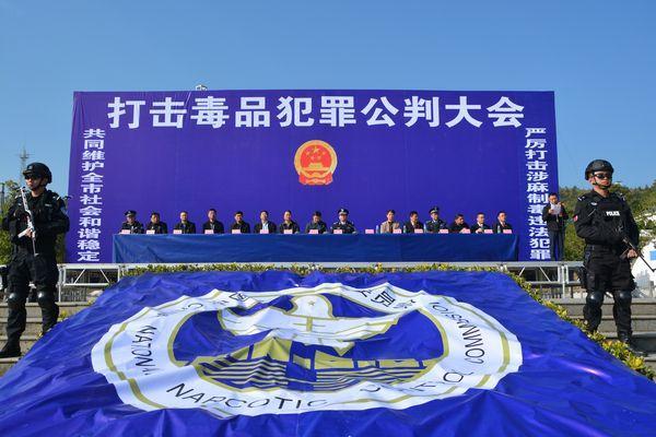 湄公河行动电影免费下载：探寻跨国犯罪真相 (湄公河行动电影)