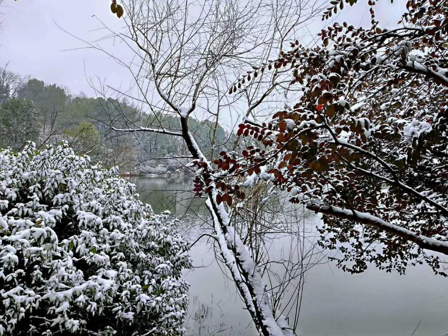 最低零下 7℃！桂林这些地方下雪了-桂林生活网新闻中心