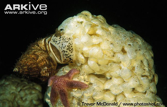 425bfa7d53974c29a71824c2d48fb9bb.jpg 425bfa7d53974c29a71824c2d48fb9bb.jpg