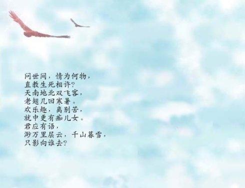 诗词大会:古代情诗中最唯美,最感人,最气吞山河的三句诗……