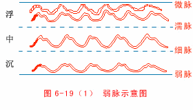 中医“把脉”的原理是什么?小学生都看懂了!