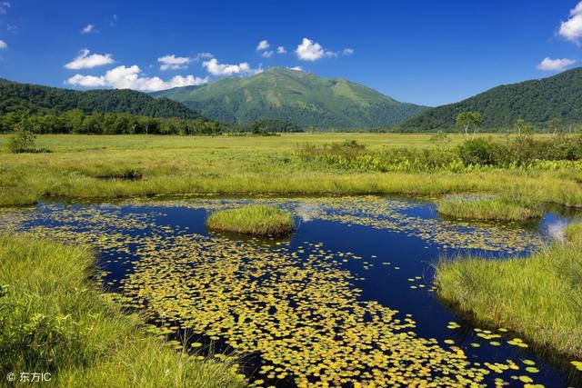 张川:浅解乾山乾向水流乾