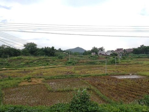 罗定市上宁村格木桥村梁氏始祖及发源地