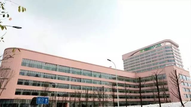  亚洲最大伊藤  开业,史上最强三圣乡来了?