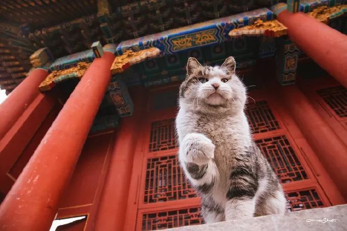 当故宫遇见新零售