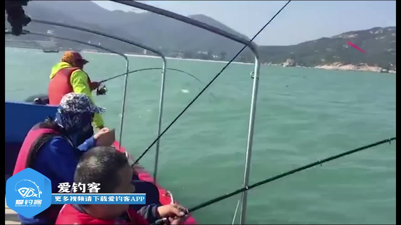 黑立季来临，东山人工礁船钓开启疯狂模式