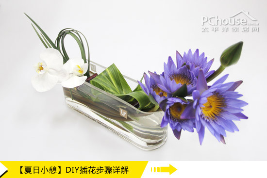 夏日小憩