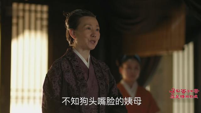 盛明兰孕后宣战:常嬷嬷护崽 刘贵妃挑拨 但这位姑娘才真正聪明