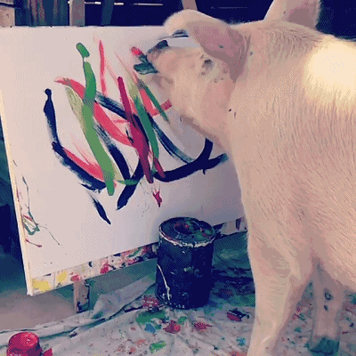 一只猪，叫猪加索，它的画，价值27000元一幅