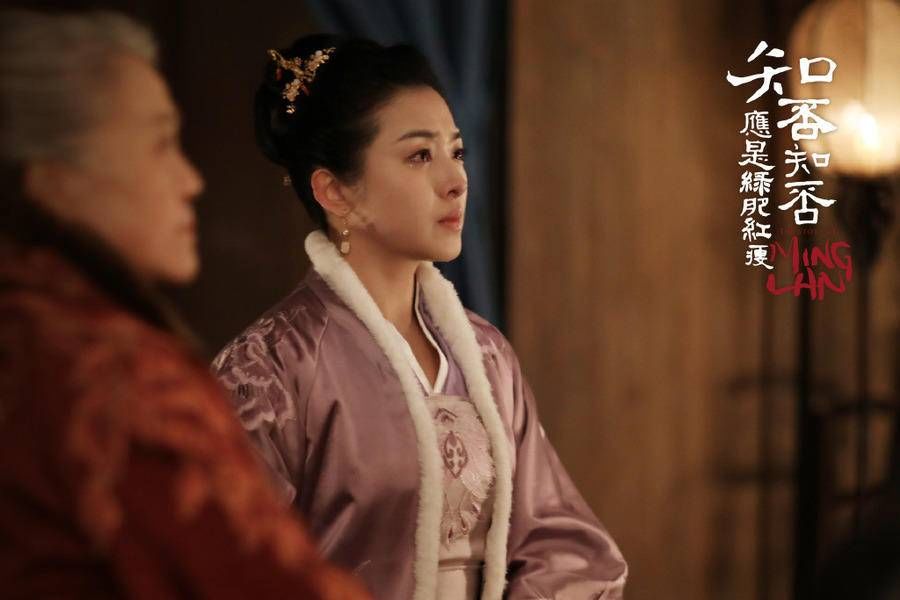 《知否，知否，应是绿肥红瘦》盛淑兰剧照