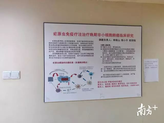 “疟原虫治癌”是科研还是闹剧？记者实地走访，真相在这里