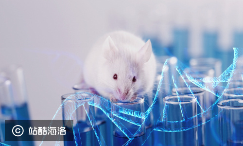 瞄准千亿美元级抗体药市场，「仁源欣生」开发基因组人源化小鼠平台