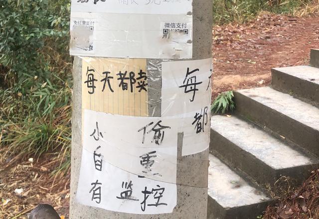 浙江荒山野岭现“最原始”无人超市,网友:马云也不得不服