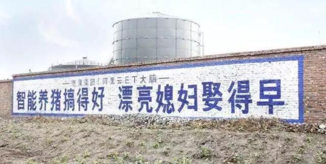 AI做得深，赶快去农村
