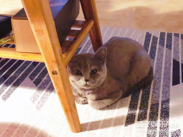 酷似吴亦凡、宁泽涛的班长退役了，《创造营》了解一下！