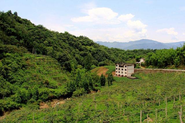 果树建园 旱作山地果树种植技术