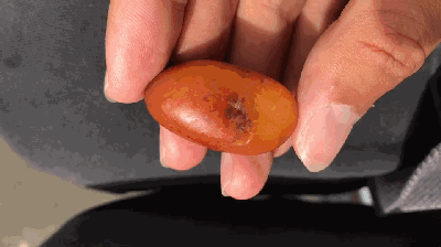 红皮和田玉的极致——籽料里的玛丽艳红!