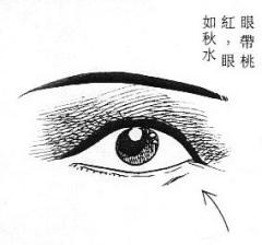 女人面相算命图解(一)