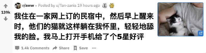 每日神段子丨为什么社交活动结束后回到家会有深深的失落感？