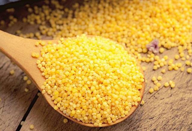 小米虽小,营养却大!黄小米有6大功效,如何挑选优质黄小米?