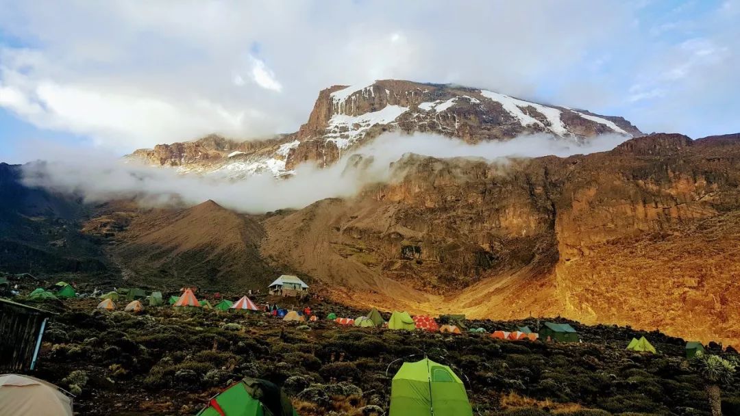 因为山在那里乞力马扎罗正在消失的非洲雪山 凤凰网