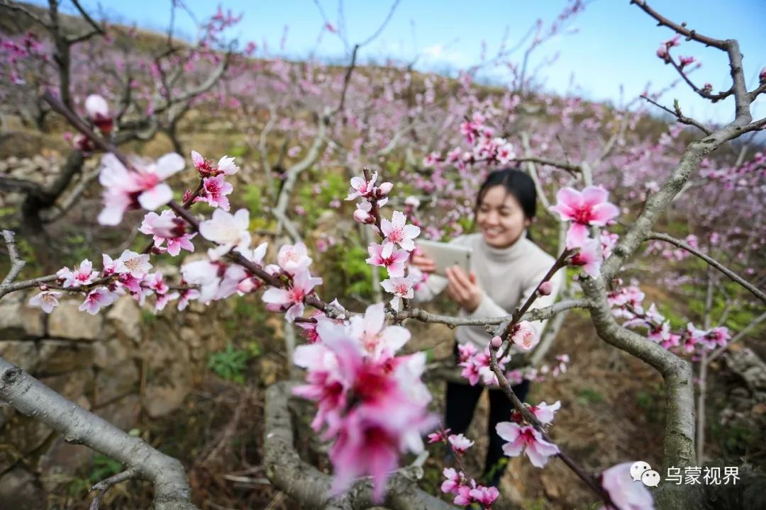 而在威宁县龙场镇树舍村余家沟,桃花是充满人家烟火气和泥土芬芳的"