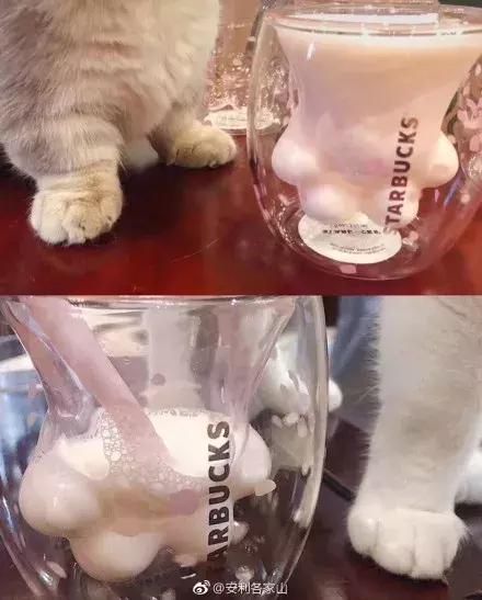 星巴克的“猫爪杯”，让我朋友圈炸开了锅……