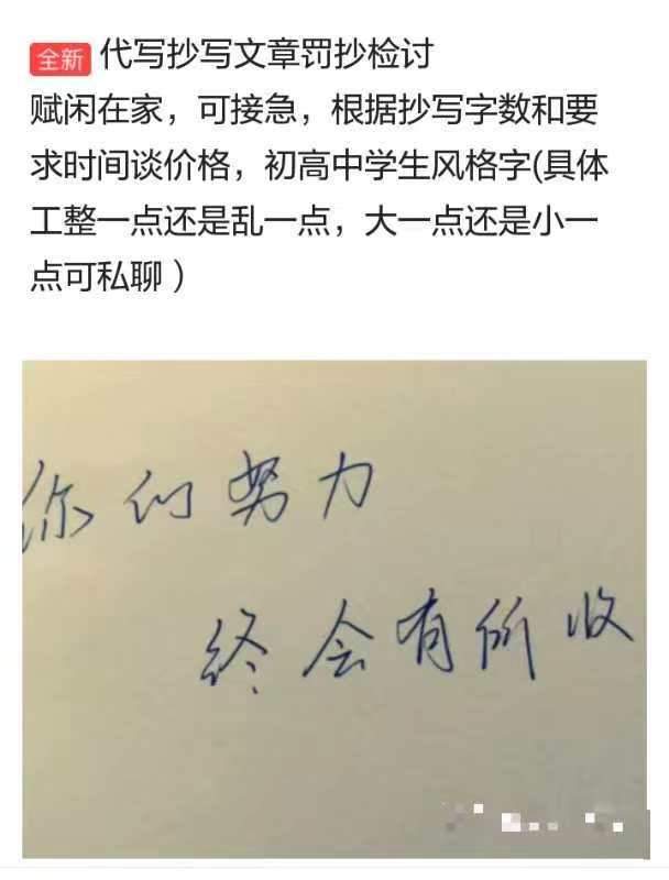 学霸在电商平台做“代写”生意：月收入竟然可以过万？