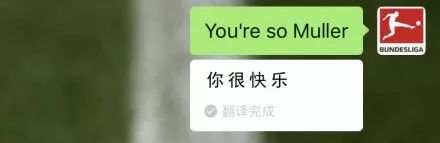 微信翻译在线帮你撩人，谁试都说好 | 唠氪儿