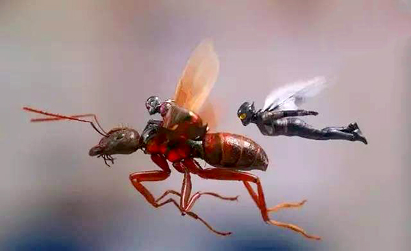 如果把蚂蚁放大一万倍会怎么样?