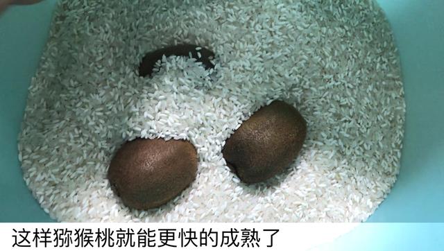 猕猴桃上插一根牙签太厉害了,吃了几十年才发现,学会受用一生