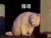 热巴为显白浑身涂粉，结果这个动作瞬间暴露，场面十分尴尬