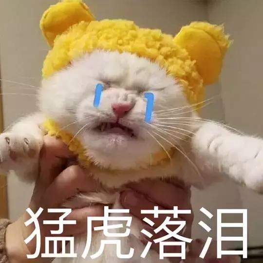 陈乔恩的苹果肌发生了什么！一夜老了30岁…