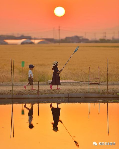 https://image.ipaiban.com/upload-ueditor-image-20190313-1552465264951073647.png