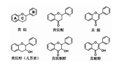 茶叶中的黄酮类,游离氨基酸类,可溶性总糖,有机酸类和挥发性成分简述